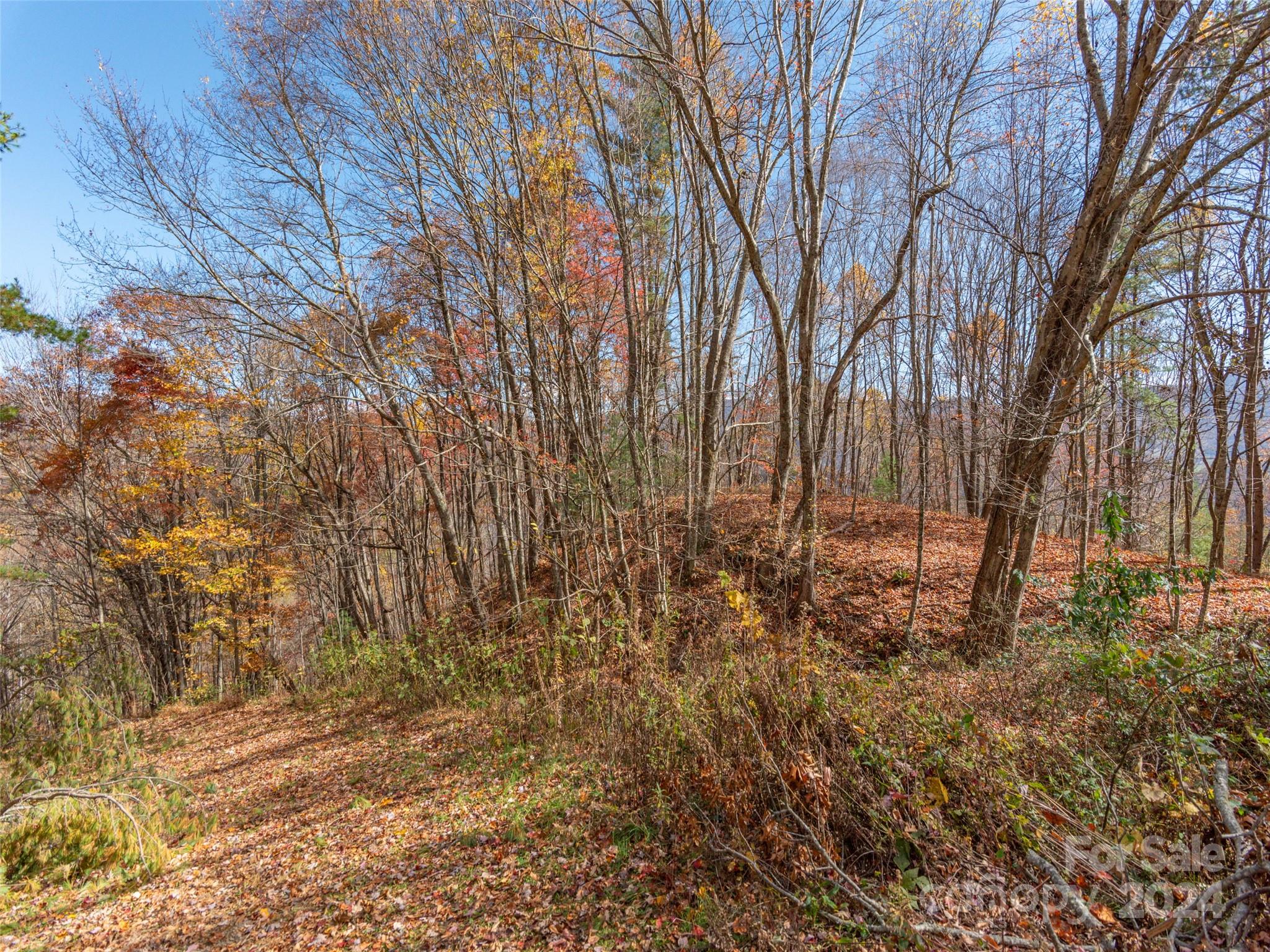 0 Mcnary Drive Clyde NC 28721