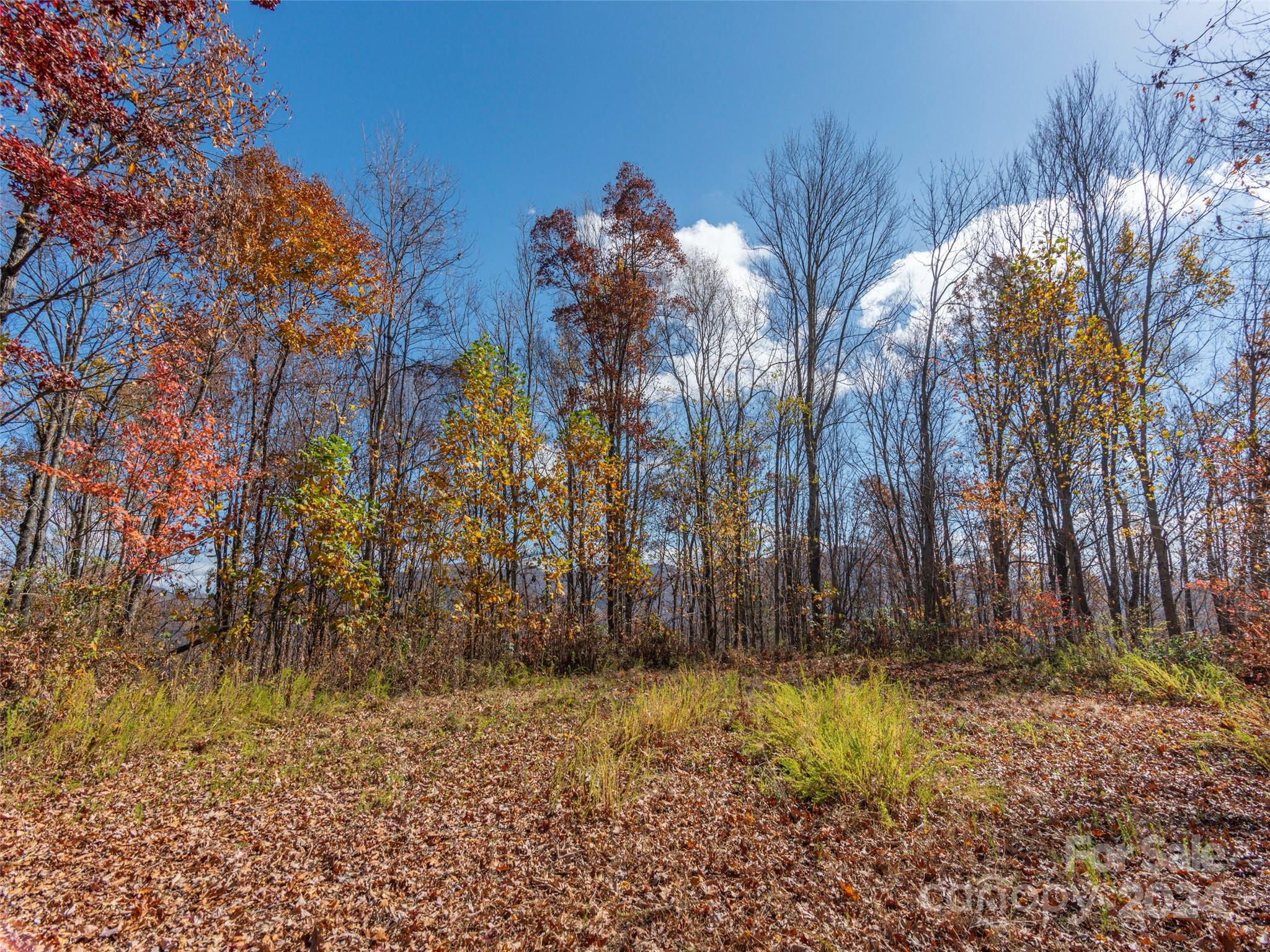 0 Mcnary Drive Clyde NC 28721