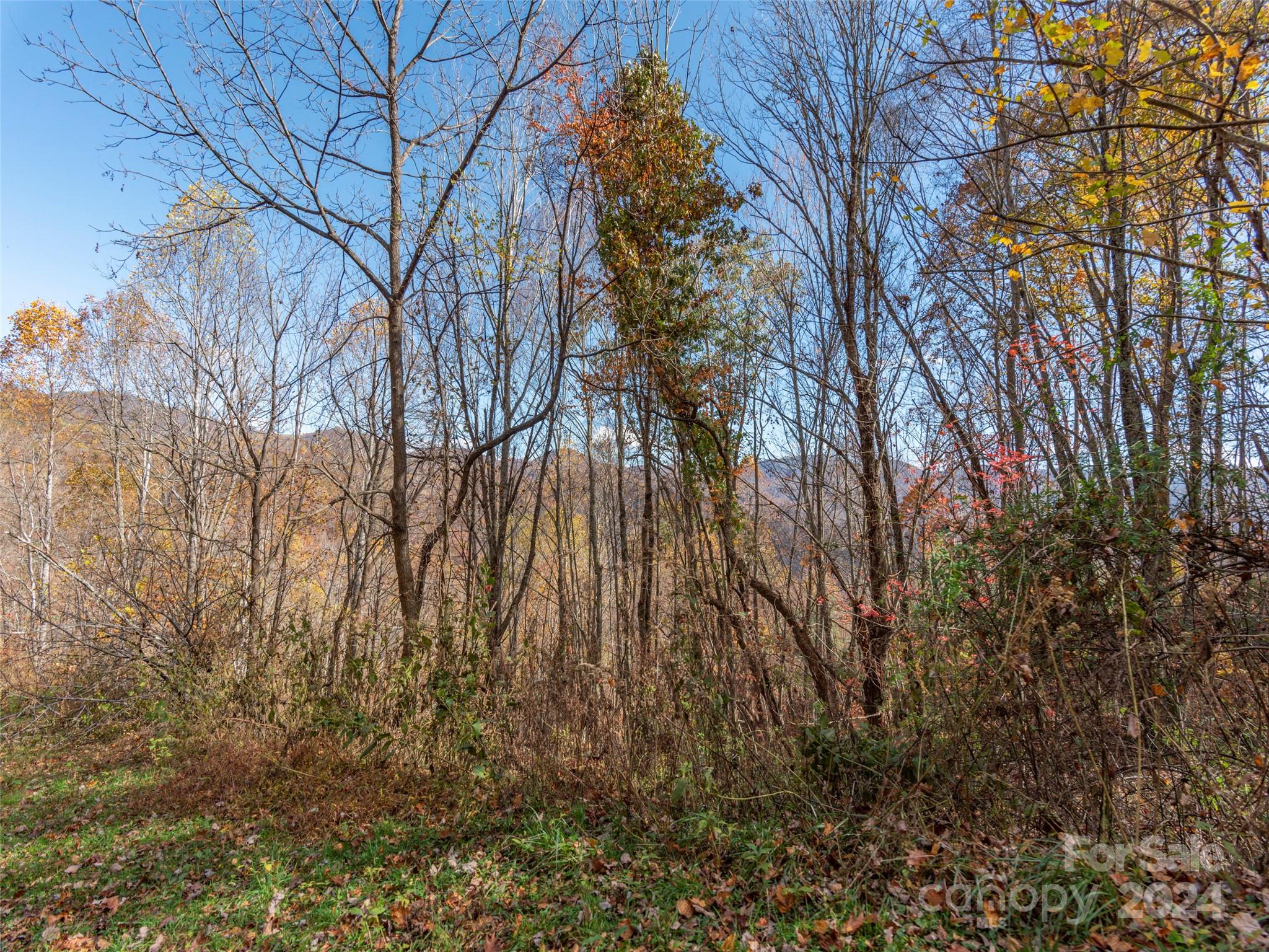 0 Mcnary Drive Clyde NC 28721