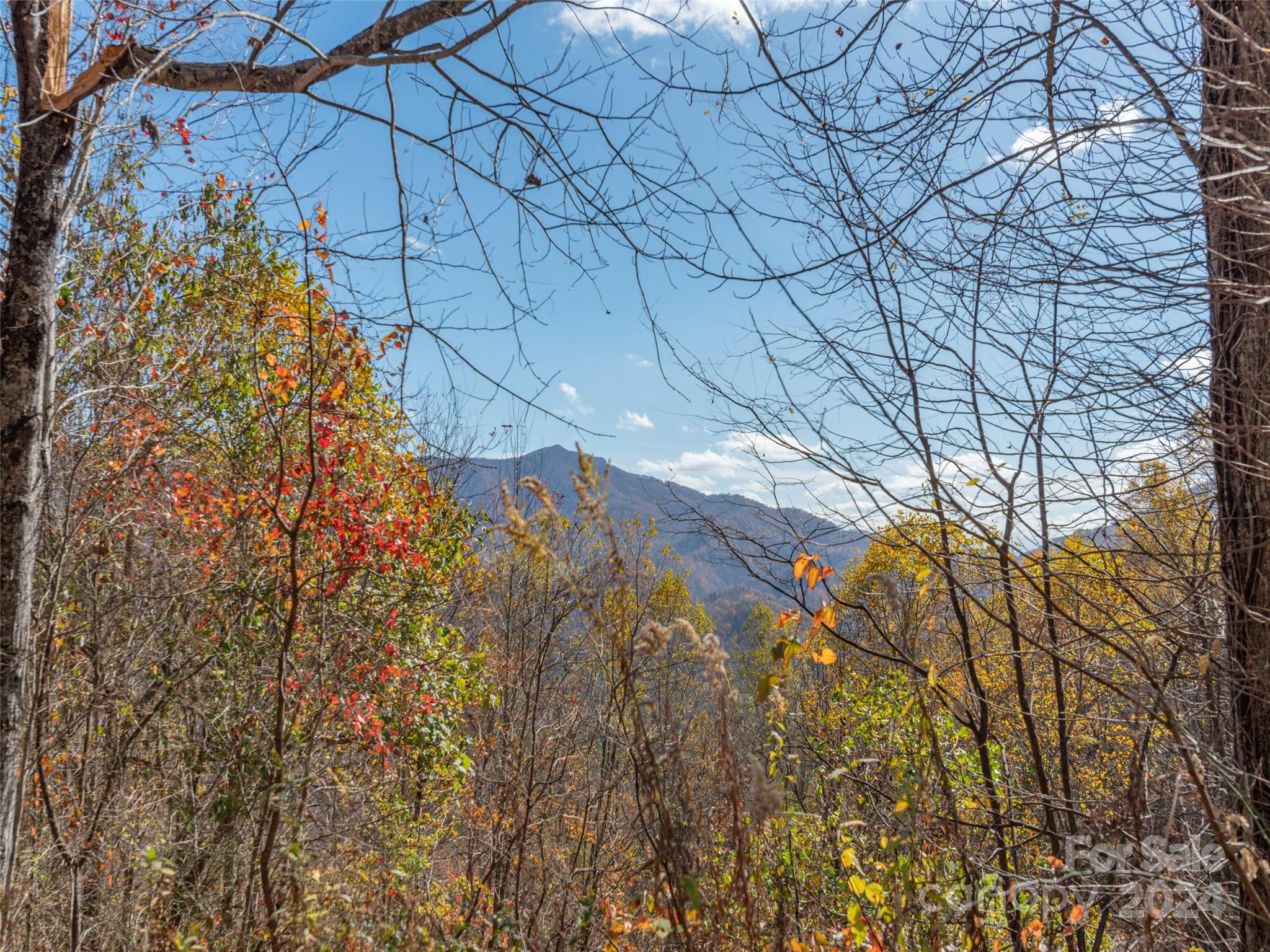 0 Mcnary Drive Clyde NC 28721