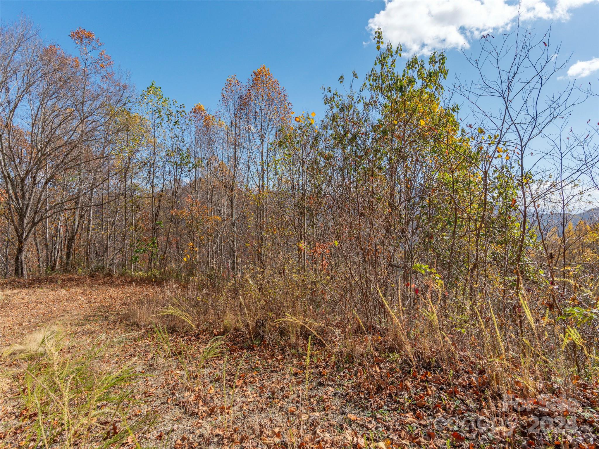 0 Mcnary Drive Clyde NC 28721