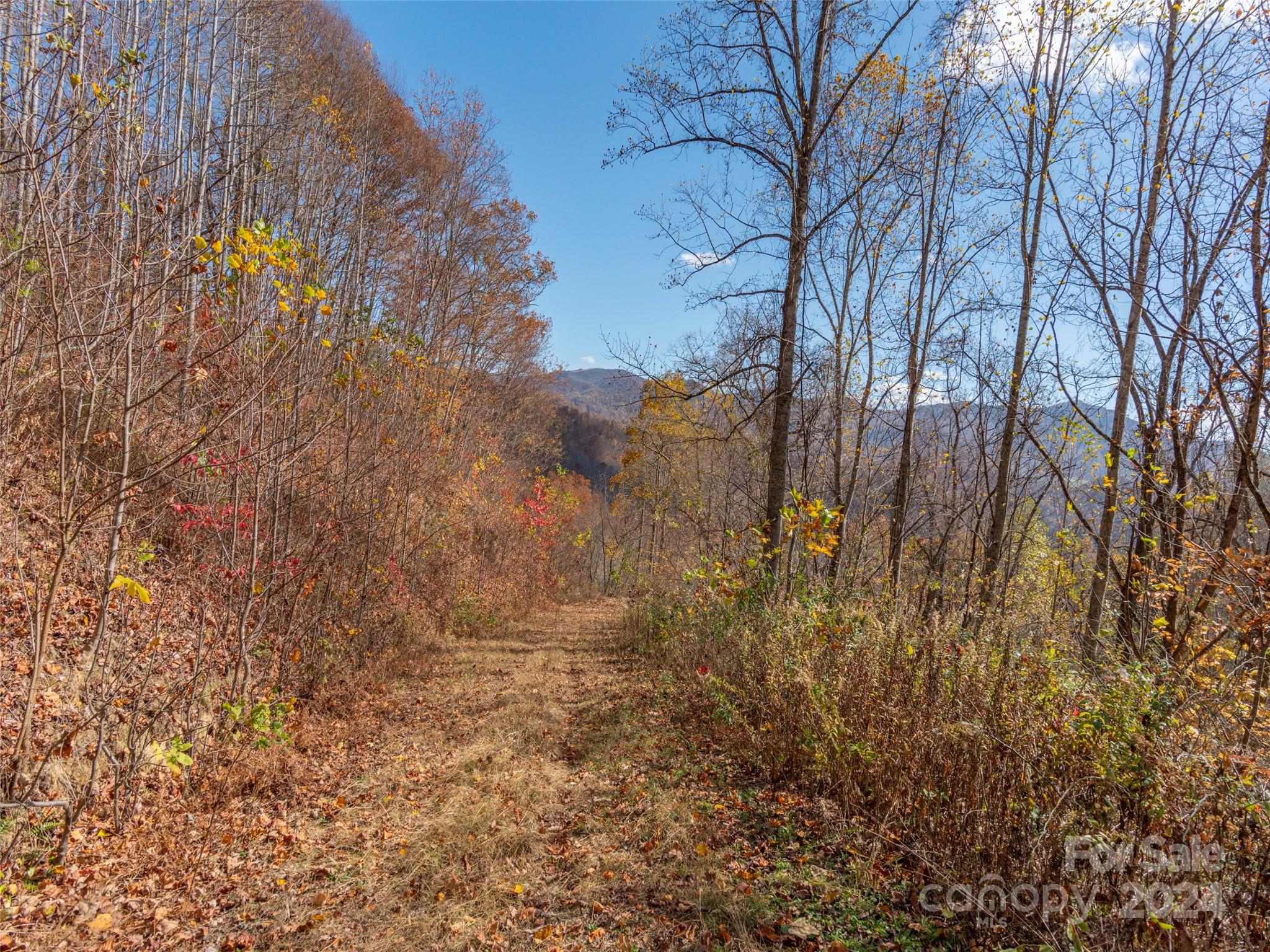 0 Mcnary Drive Clyde NC 28721