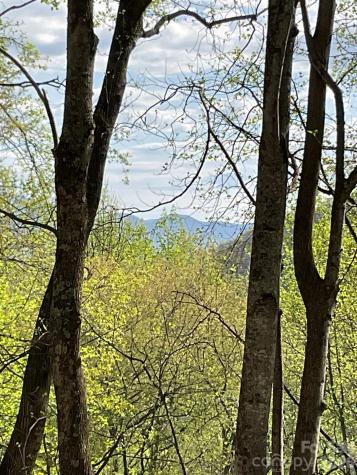 1414 Easy Wind Drive Swannanoa NC 28778