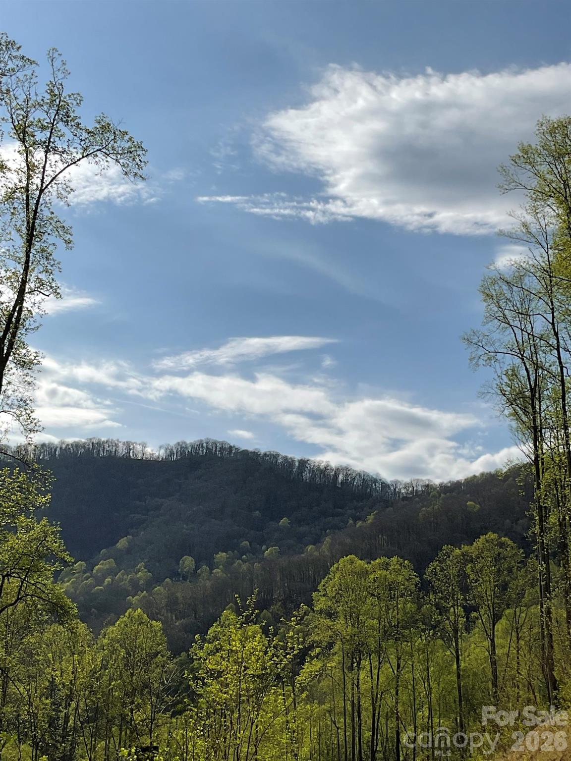 1414 Easy Wind Drive Swannanoa NC 28778