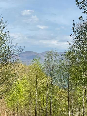 1414 Easy Wind Drive Swannanoa NC 28778