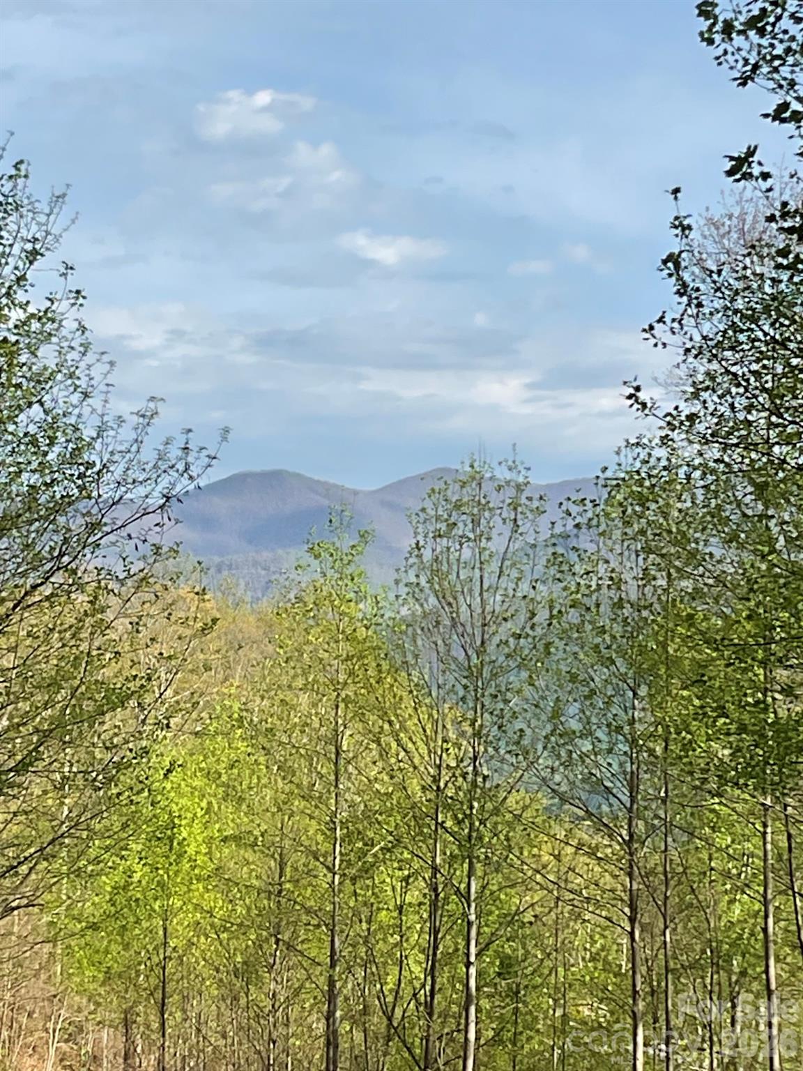 1414 Easy Wind Drive Swannanoa NC 28778