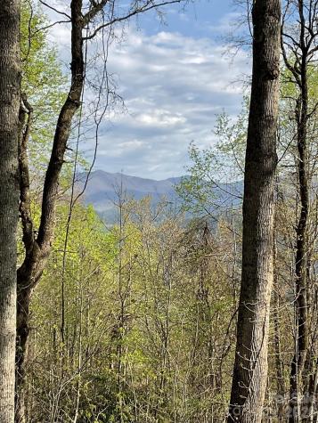1414 Easy Wind Drive Swannanoa NC 28778