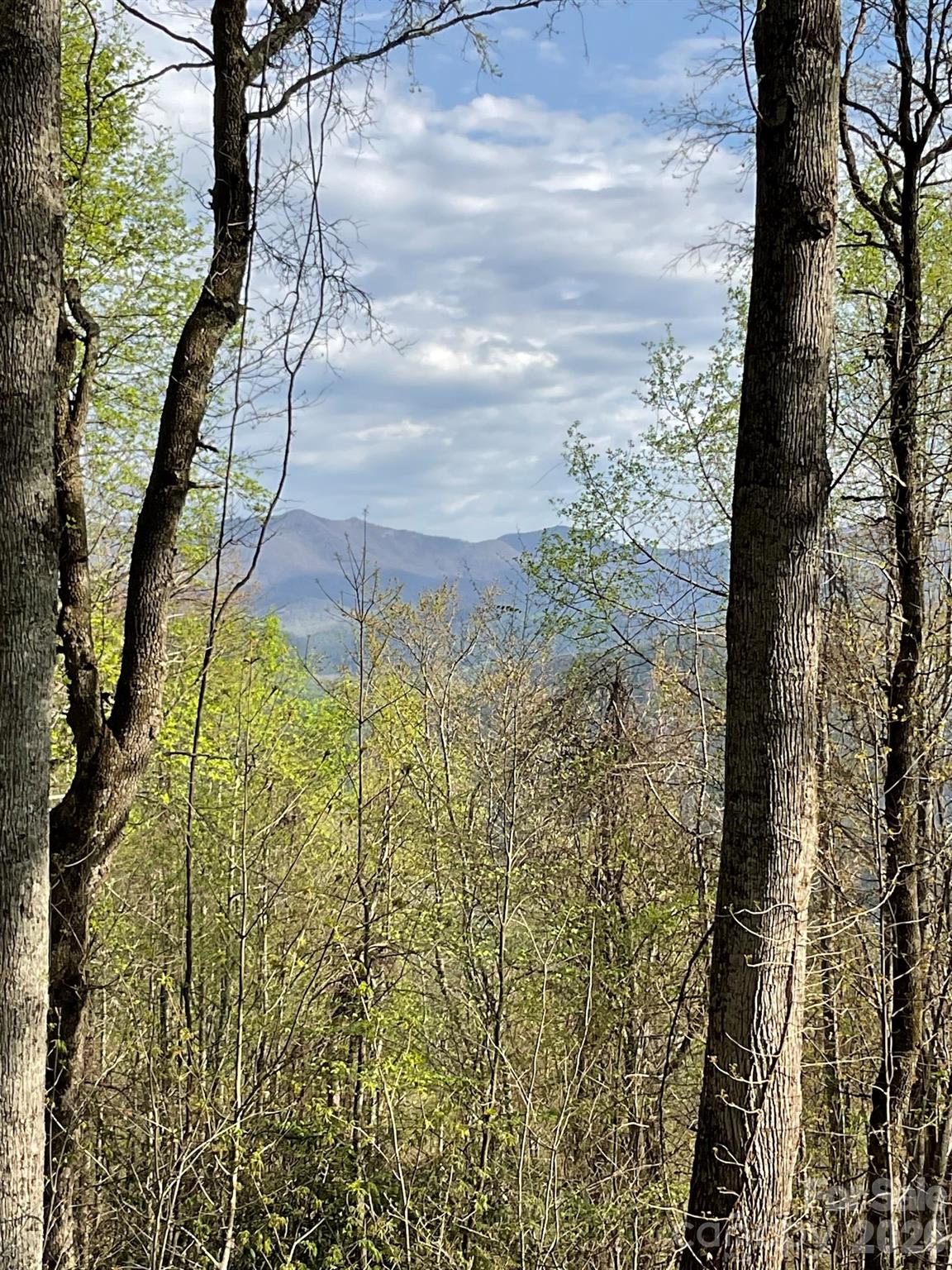 1414 Easy Wind Drive Swannanoa NC 28778