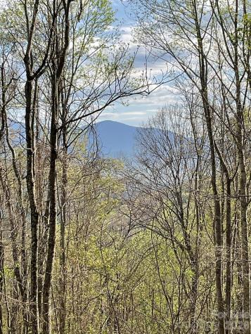 1414 Easy Wind Drive Swannanoa NC 28778