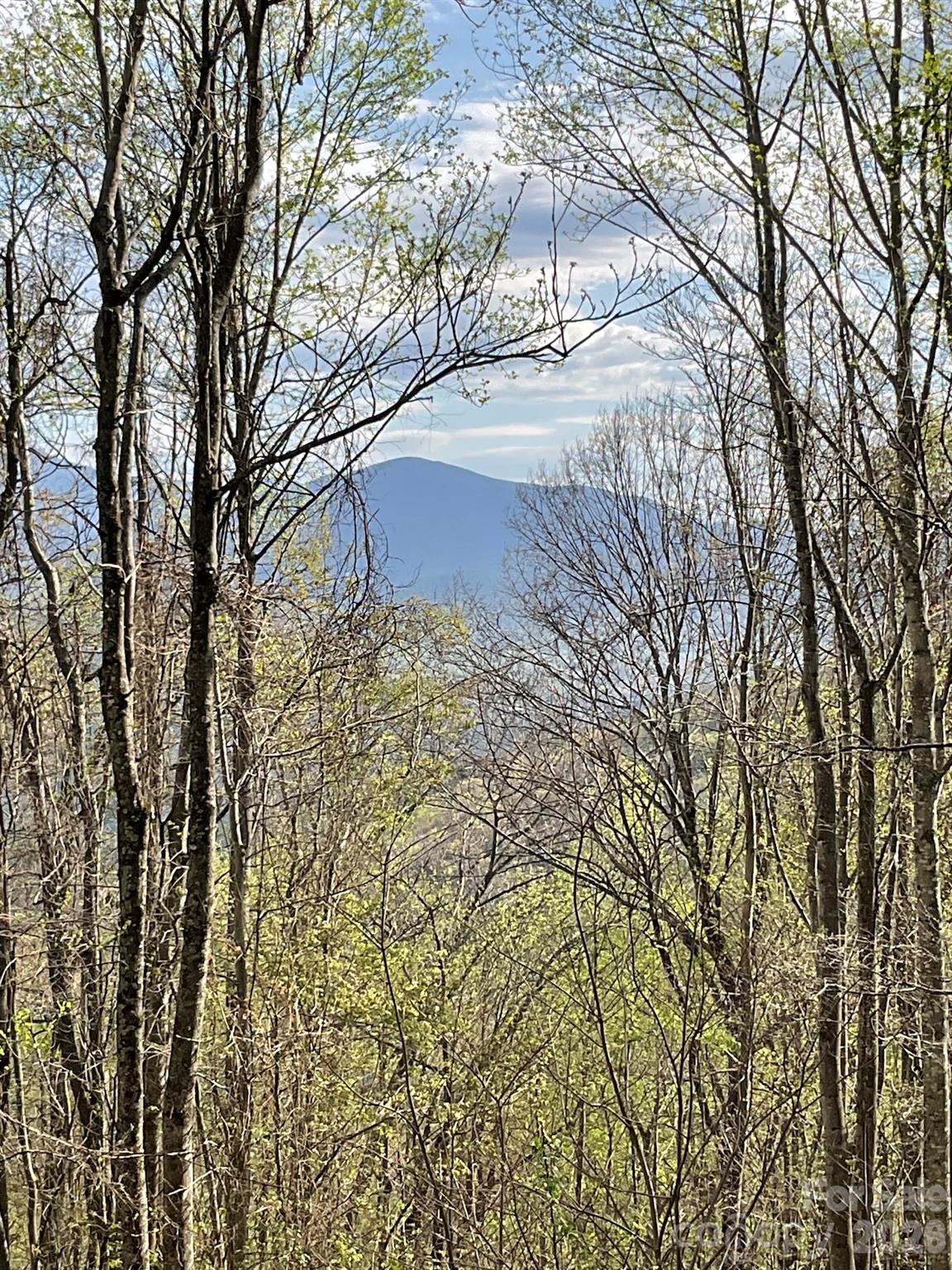 1414 Easy Wind Drive Swannanoa NC 28778