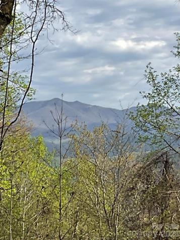 1414 Easy Wind Drive Swannanoa NC 28778