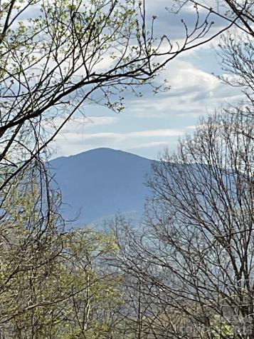 1414 Easy Wind Drive Swannanoa NC 28778