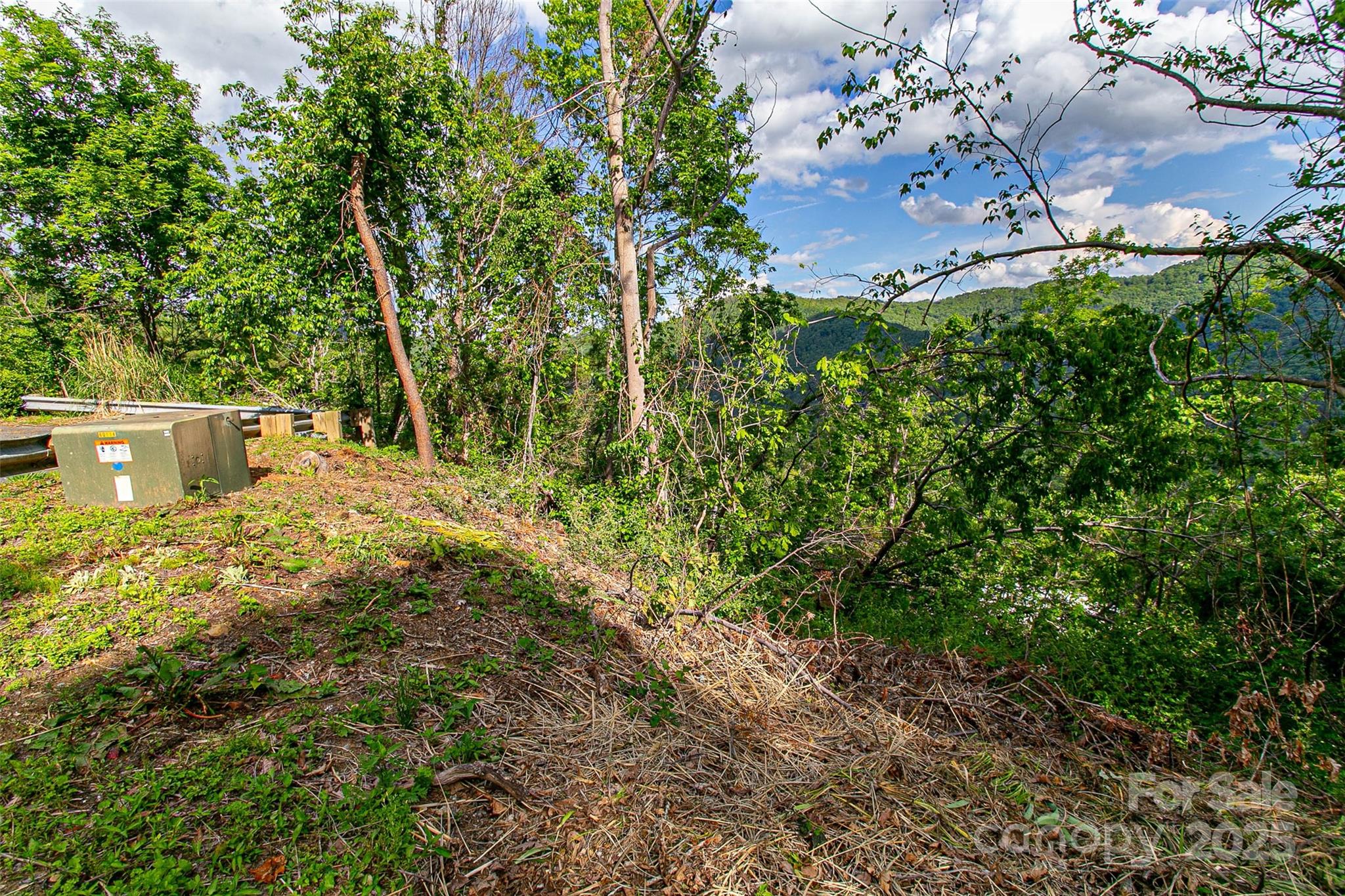 99999 Black Oak Drive Asheville NC 28804