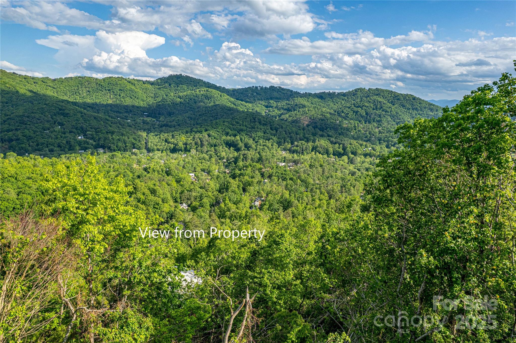 99999 Black Oak Drive Asheville NC 28804