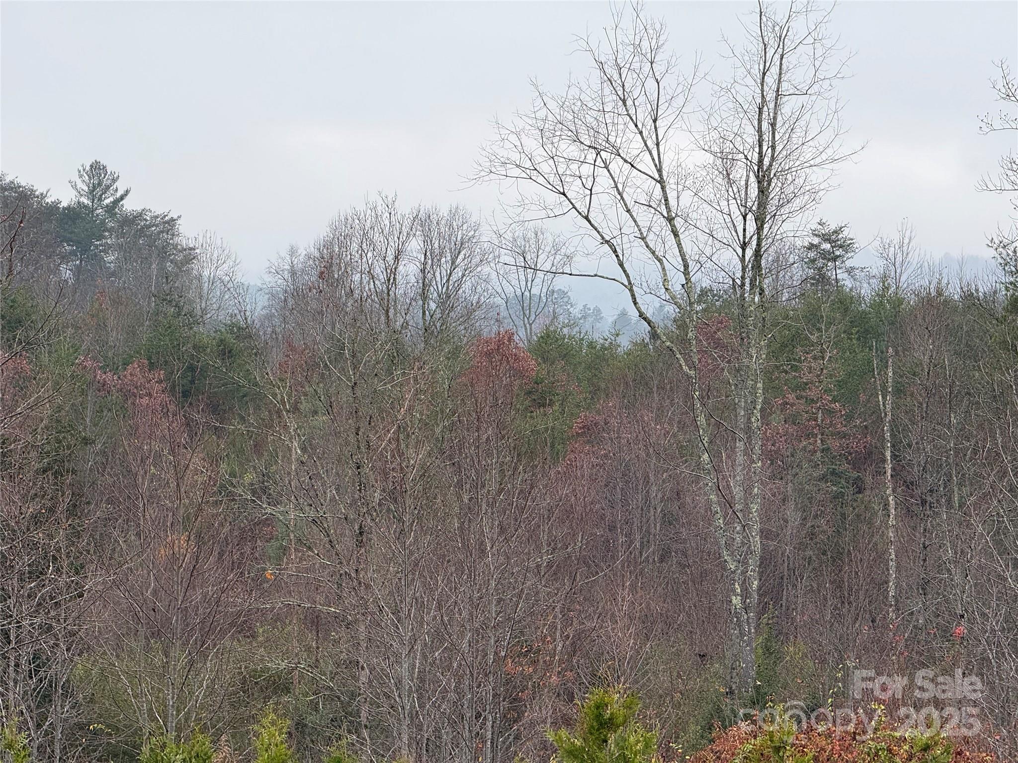 0 Oak Hill School Road Lenoir NC 28645