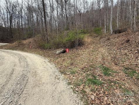 Lots 1-8 Erwin Lane Waynesville NC 28785