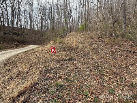 Lots 1-8 Erwin Lane Waynesville NC 28785