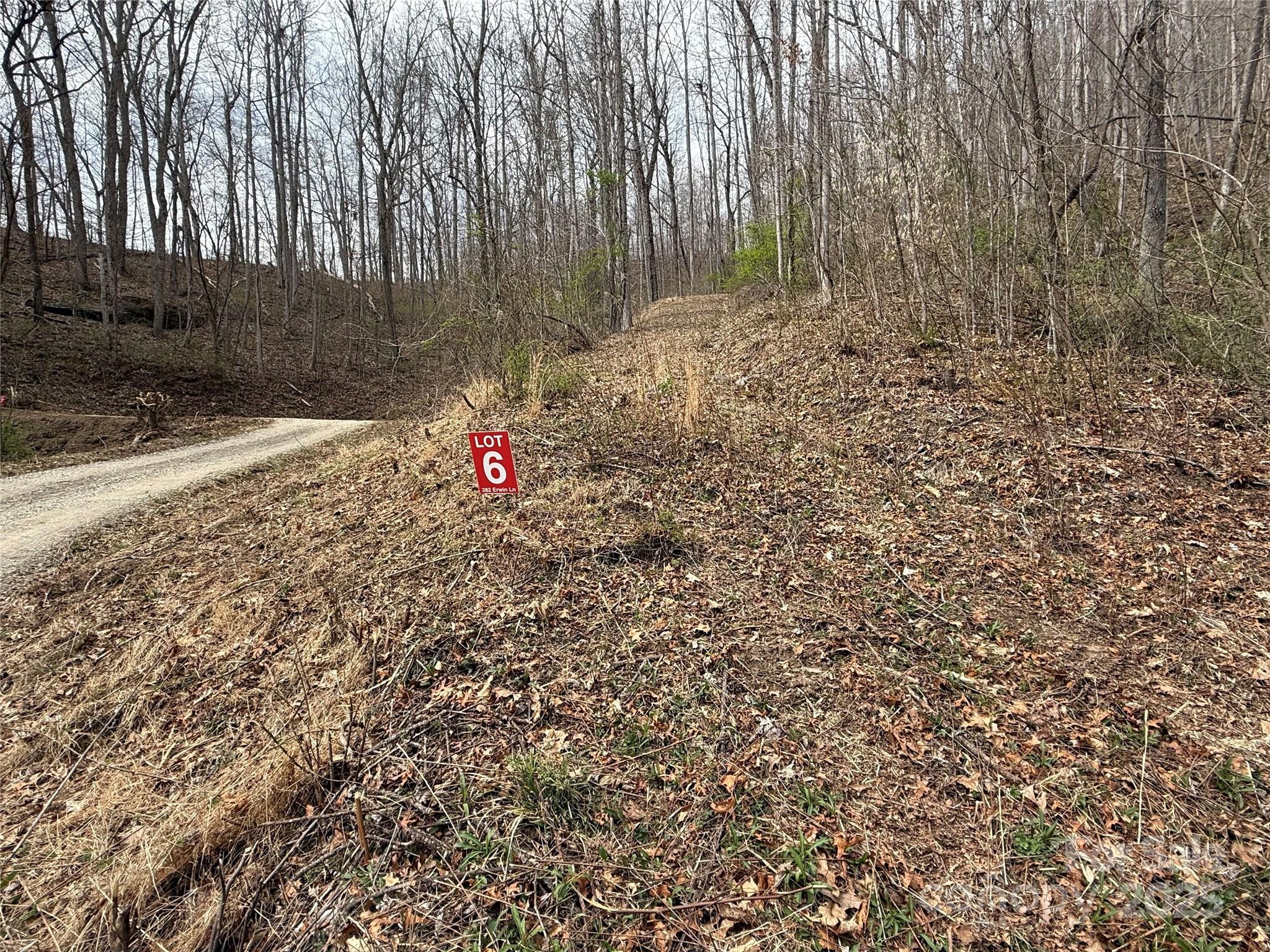 Lots 1-8 Erwin Lane Waynesville NC 28785