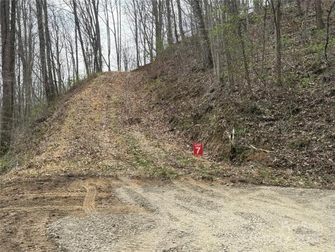 Lots 1-8 Erwin Lane Waynesville NC 28785