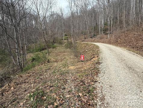 Lots 1-8 Erwin Lane Waynesville NC 28785