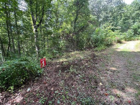 Lots 1-8 Erwin Lane Waynesville NC 28785