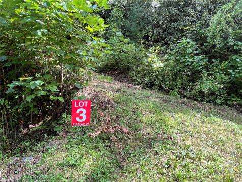 Lots 1-8 Erwin Lane Waynesville NC 28785