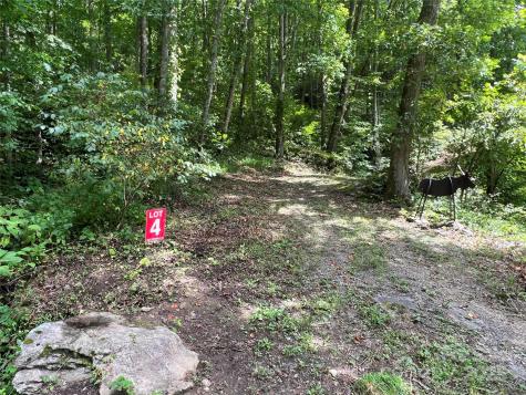 Lots 1-8 Erwin Lane Waynesville NC 28785