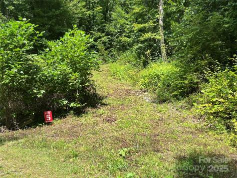 Lots 1-8 Erwin Lane Waynesville NC 28785