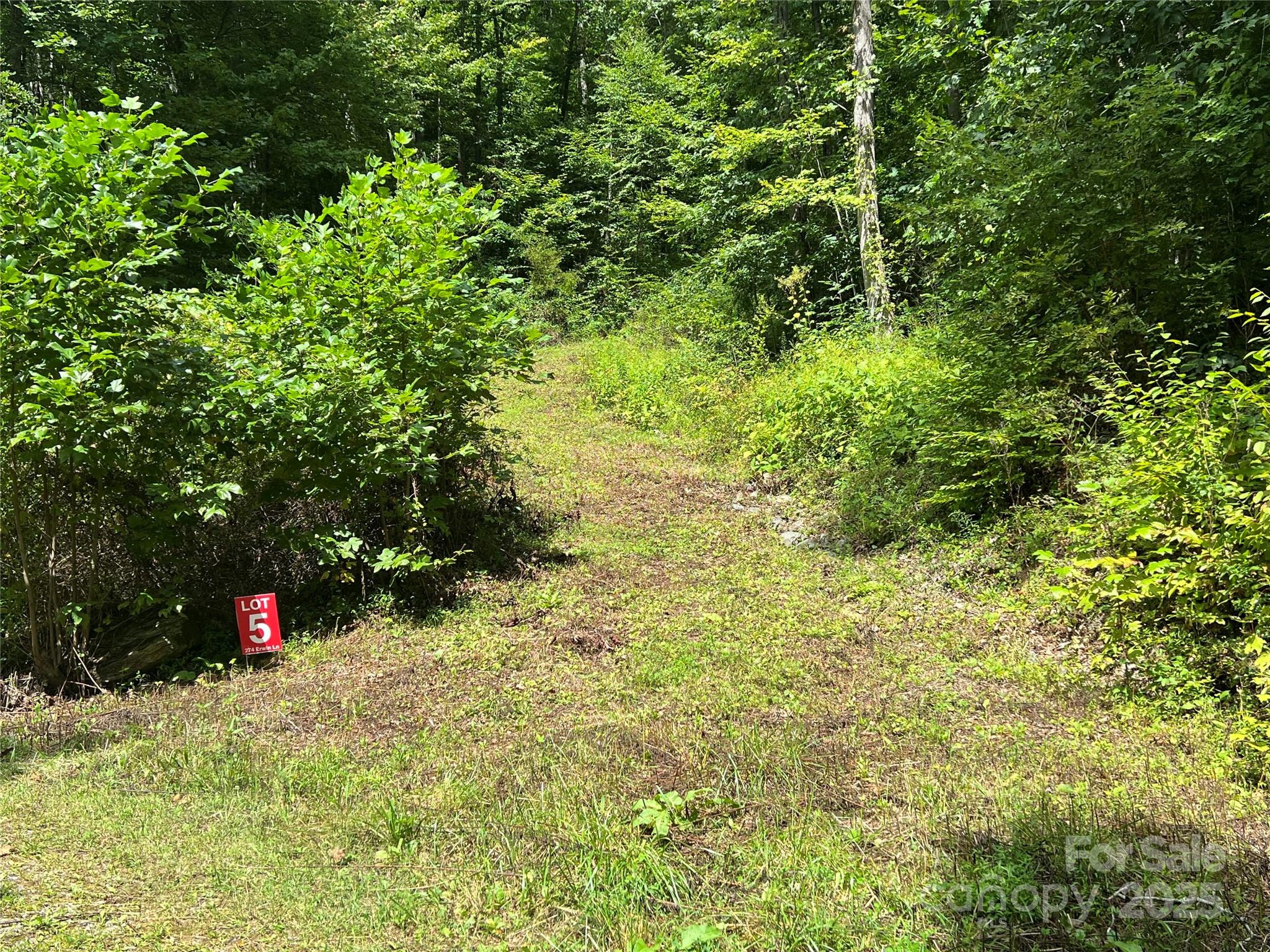 Lots 1-8 Erwin Lane Waynesville NC 28785