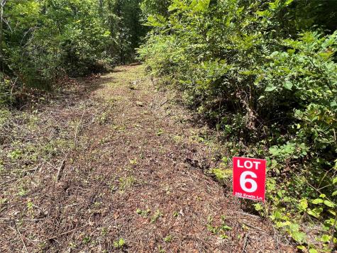 Lots 1-8 Erwin Lane Waynesville NC 28785
