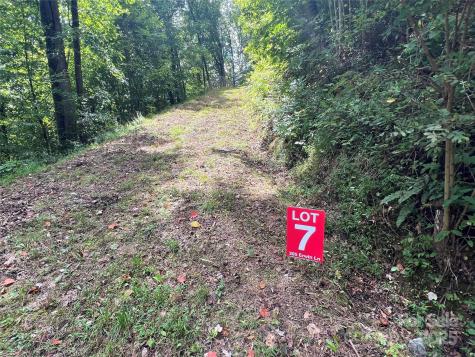 Lots 1-8 Erwin Lane Waynesville NC 28785