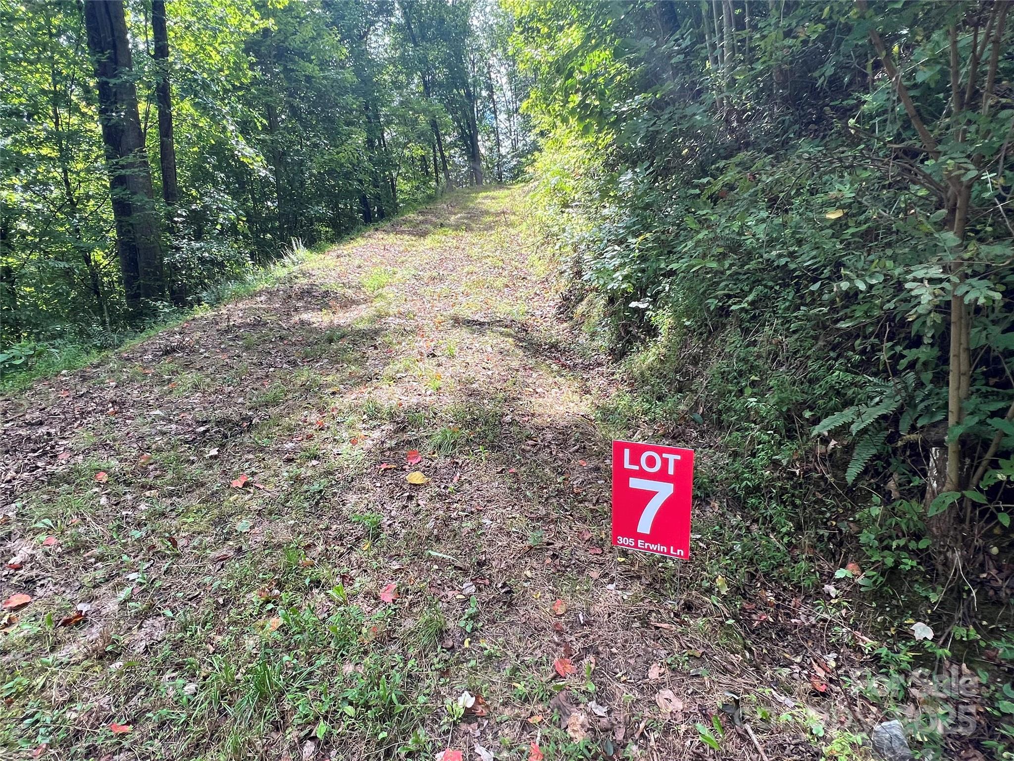 Lots 1-8 Erwin Lane Waynesville NC 28785