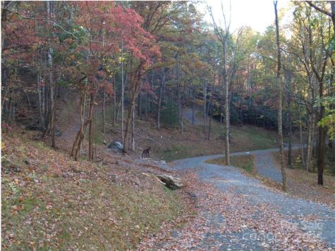Lots 1-8 Erwin Lane Waynesville NC 28785