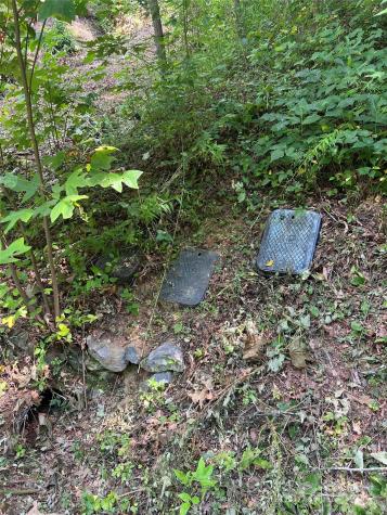 Lots 1-8 Erwin Lane Waynesville NC 28785