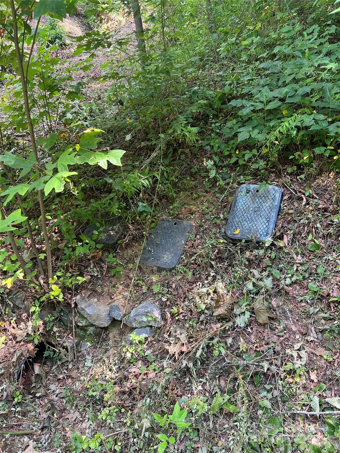 Lots 1-8 Erwin Lane Waynesville NC 28785