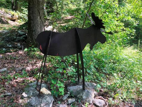 Lots 1-8 Erwin Lane Waynesville NC 28785