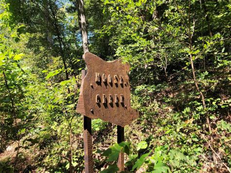 Lots 1-8 Erwin Lane Waynesville NC 28785