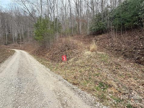 Lots 1-8 Erwin Lane Waynesville NC 28785