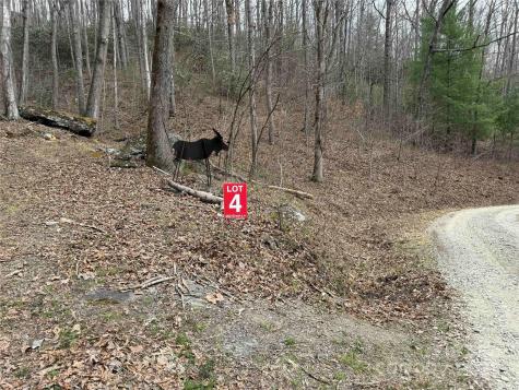 Lots 1-8 Erwin Lane Waynesville NC 28785