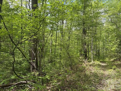 999999 Harwood Road Barnardsville NC 28709