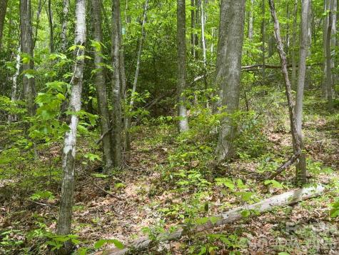 999999 Harwood Road Barnardsville NC 28709