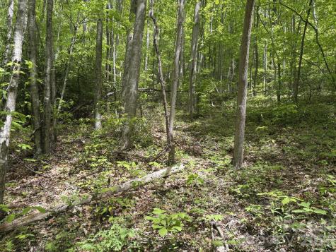 999999 Harwood Road Barnardsville NC 28709
