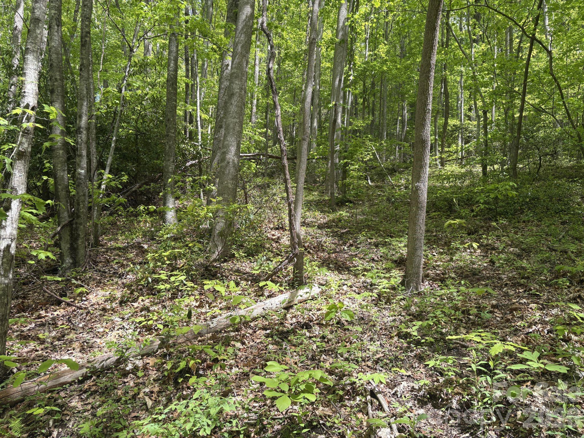 999999 Harwood Road Barnardsville NC 28709