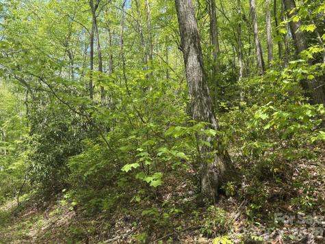 999999 Harwood Road Barnardsville NC 28709