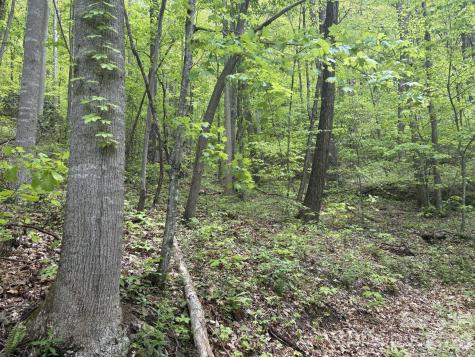 999999 Harwood Road Barnardsville NC 28709