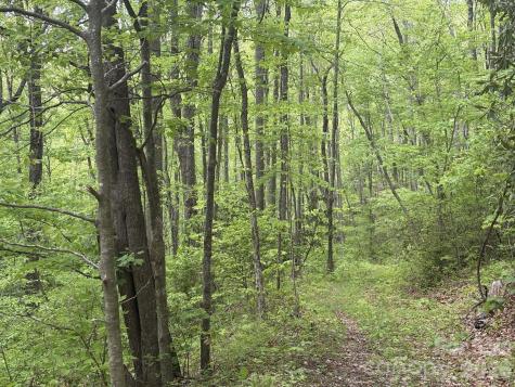 999999 Harwood Road Barnardsville NC 28709