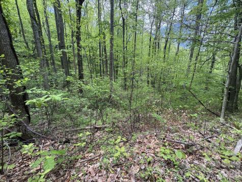 999999 Harwood Road Barnardsville NC 28709