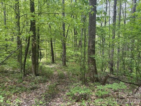999999 Harwood Road Barnardsville NC 28709