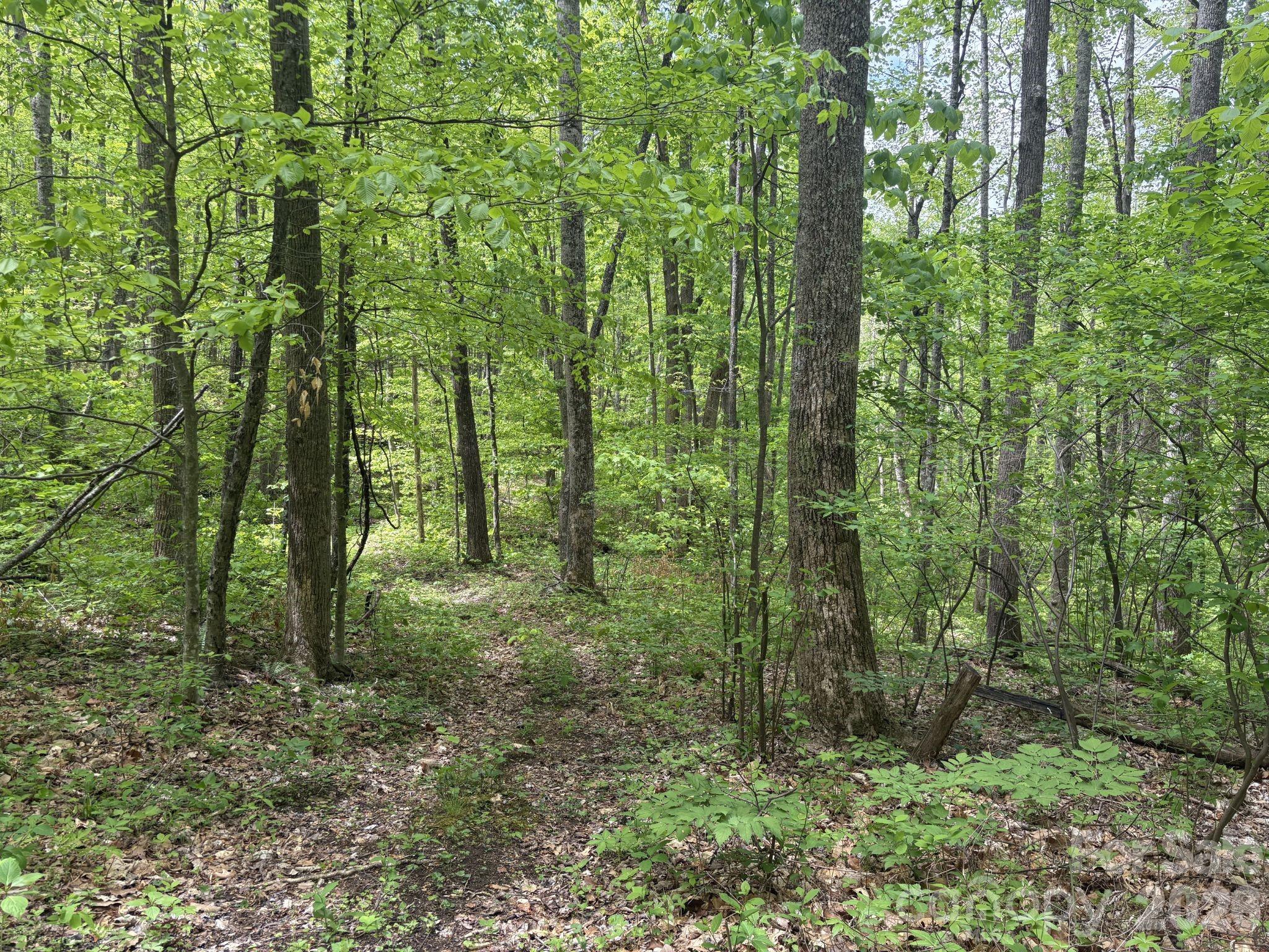 999999 Harwood Road Barnardsville NC 28709