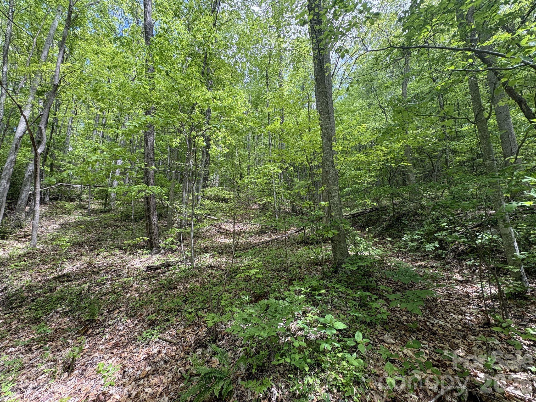 999999 Harwood Road Barnardsville NC 28709